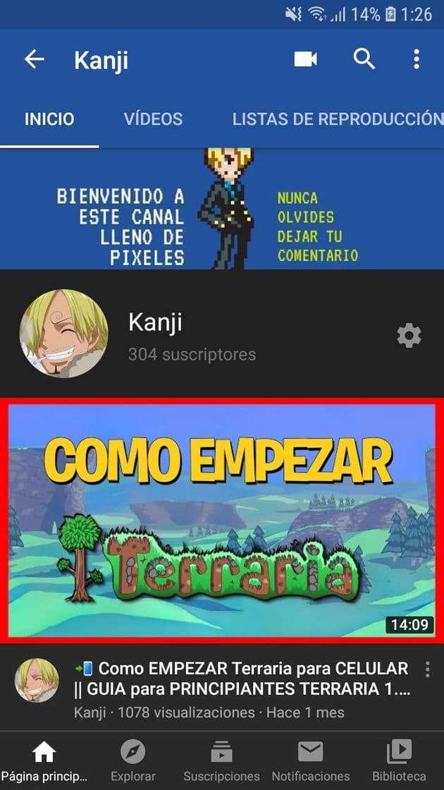 Fashion Kanji YouTuber de Terraria