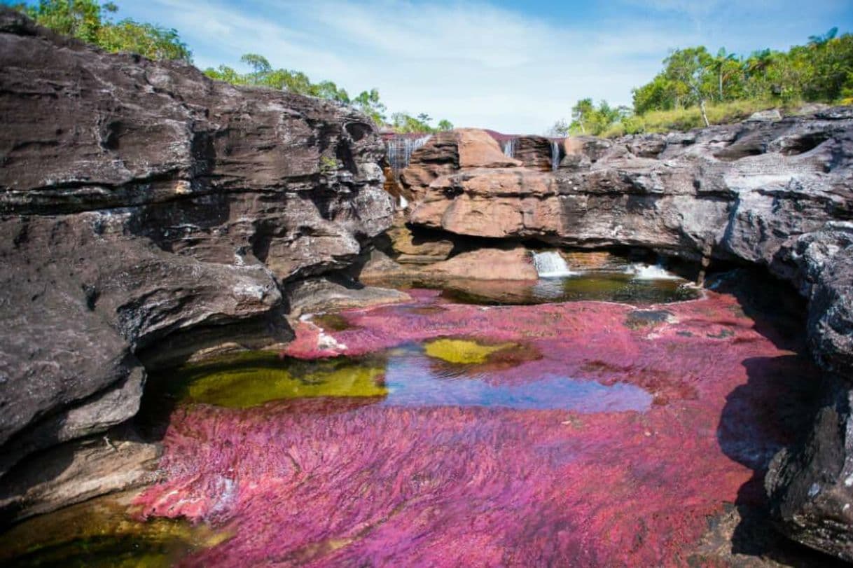 Place Caño Cristales