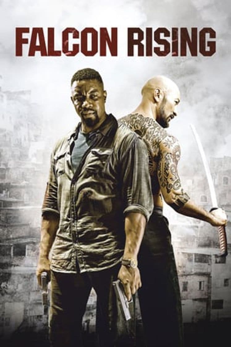 Película Falcon Rising