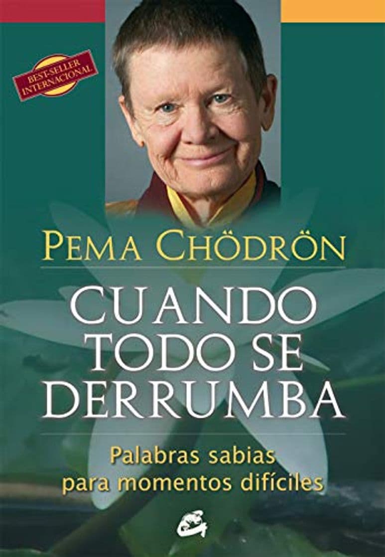 Libro Cuando Todo Se Derrumba