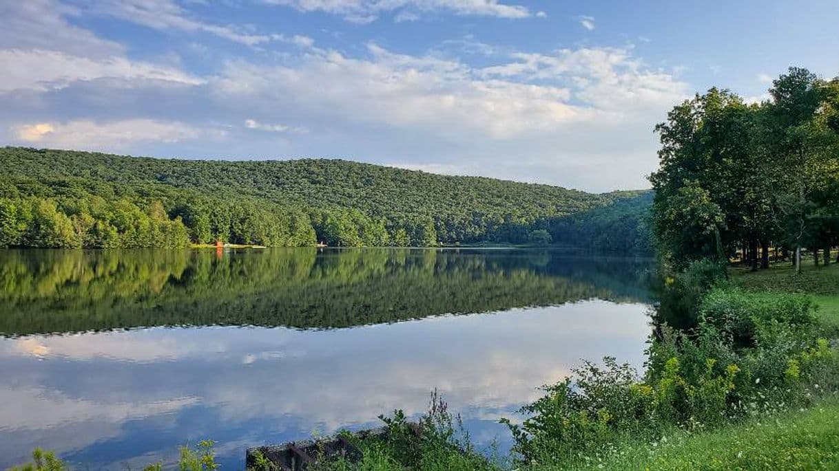 Lugar Sharpe Reservation