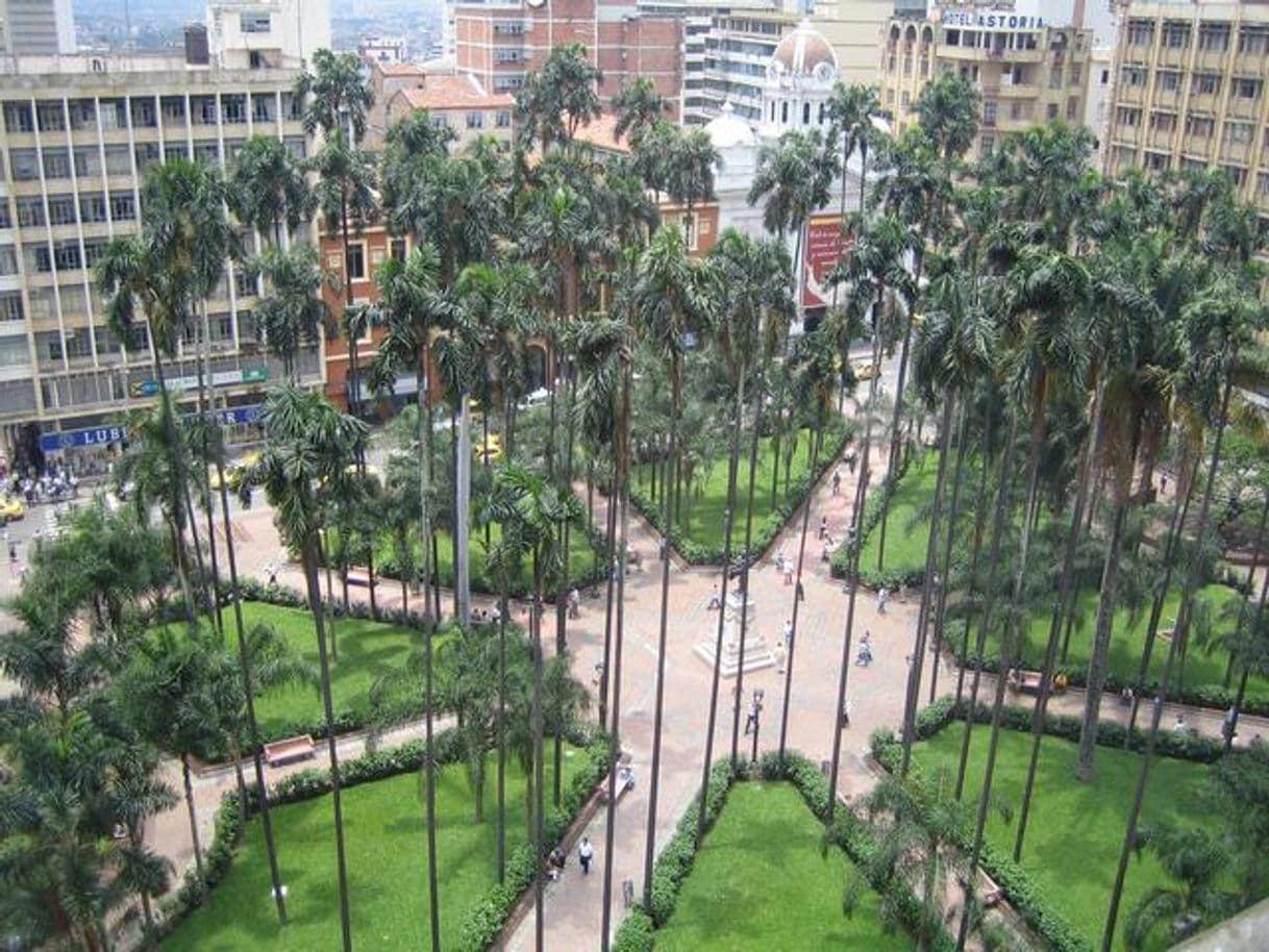 Place Plaza Caicedo Centro Cali