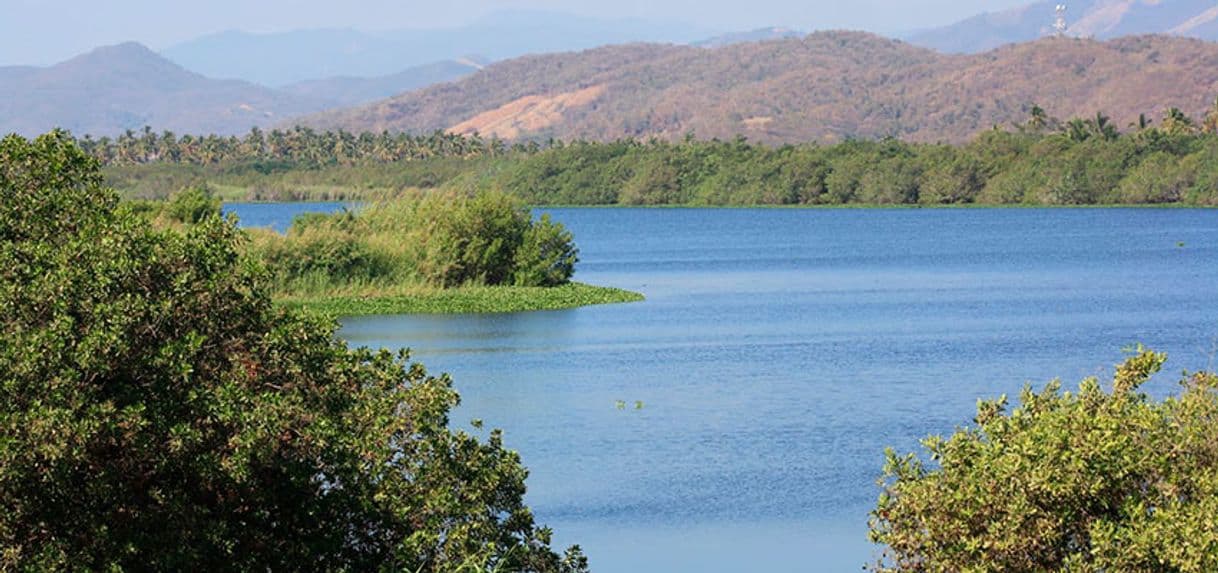 Lugar Laguna De Coyuca