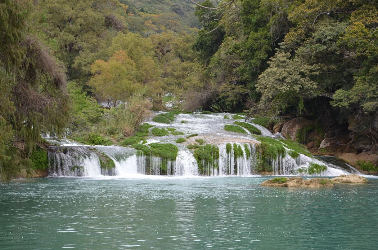 Lugar Cascada de Micos