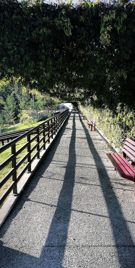 Lugar Eco Parque Metropolitano.