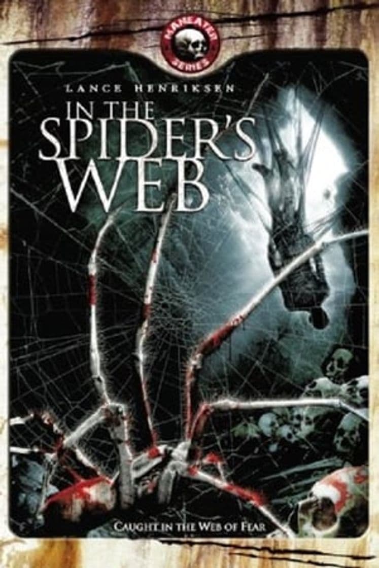 Película In the Spider's Web