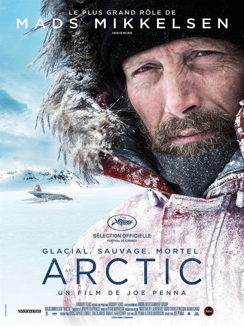 Película Arctic