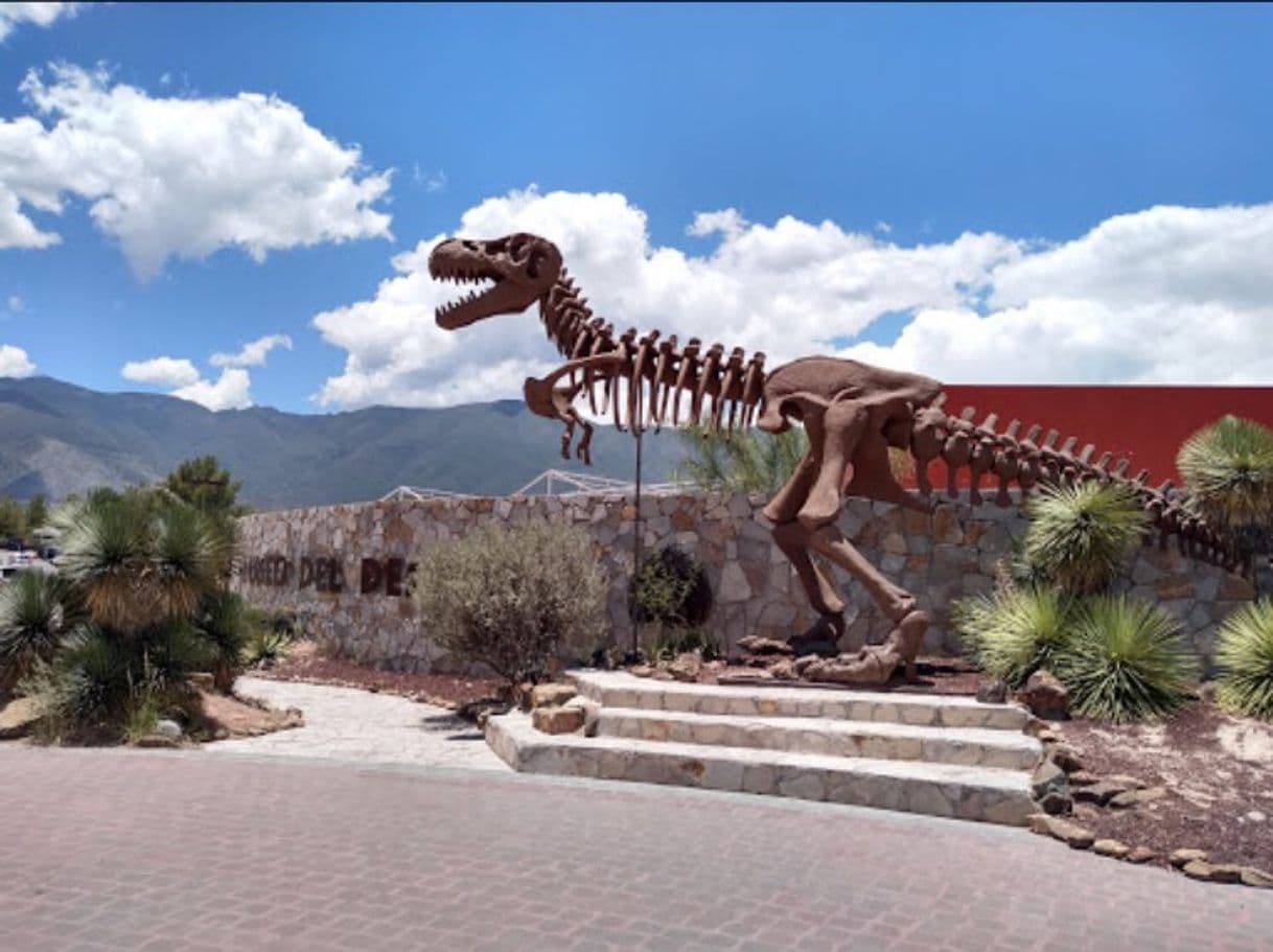 Place Boulevard Museo del Desierto