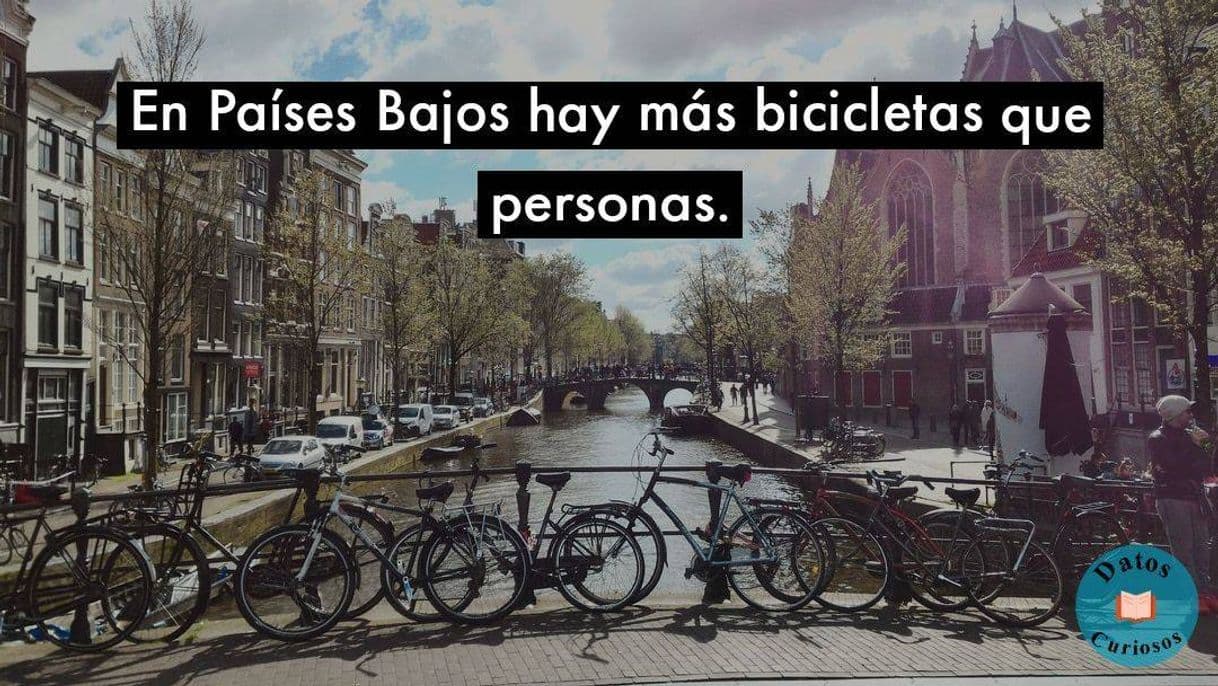 Moda Hay más bicicletas que personas. - Dato de Interés