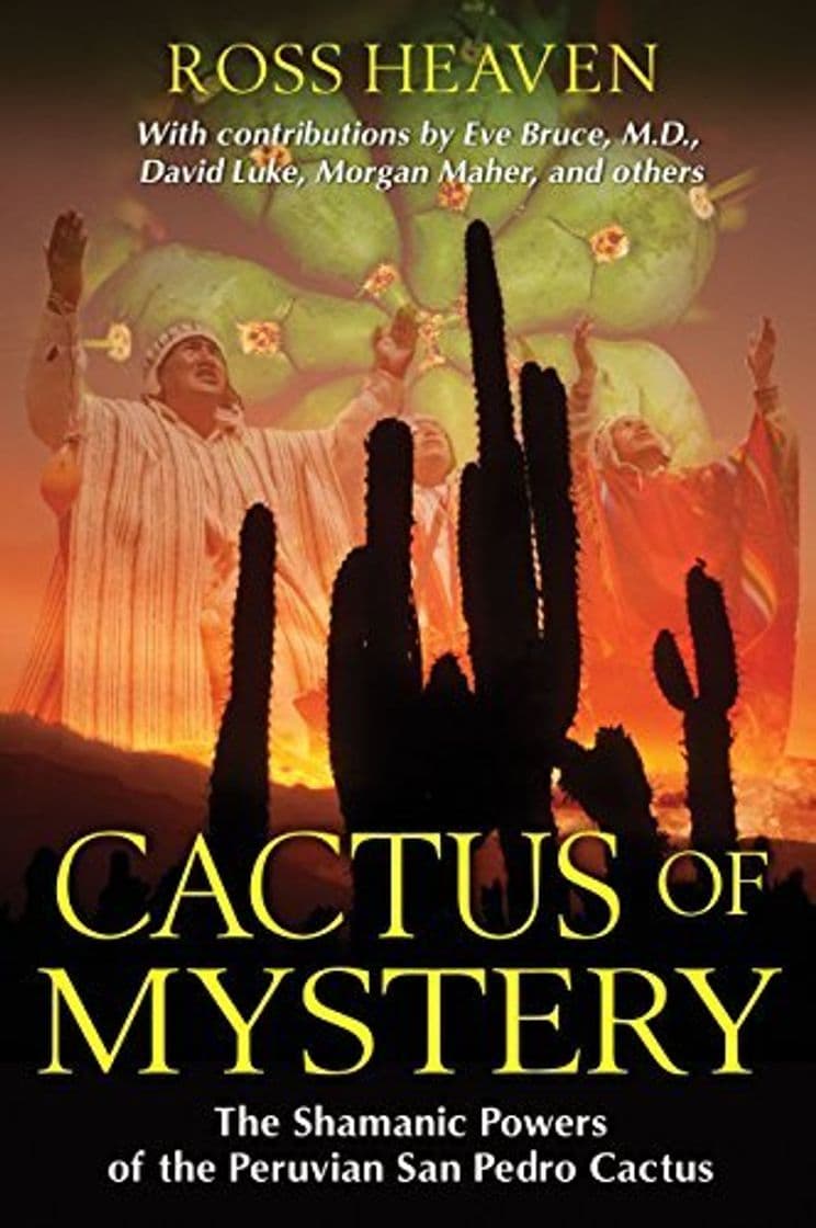 Libro Cactus of Mystery: The Shamanic Powers of the Peruvian San Pedro Cactus