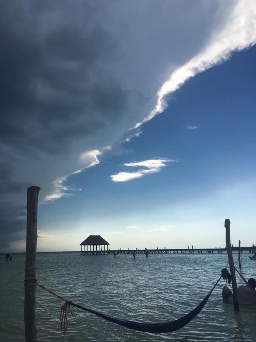 Lugar Isla de Holbox