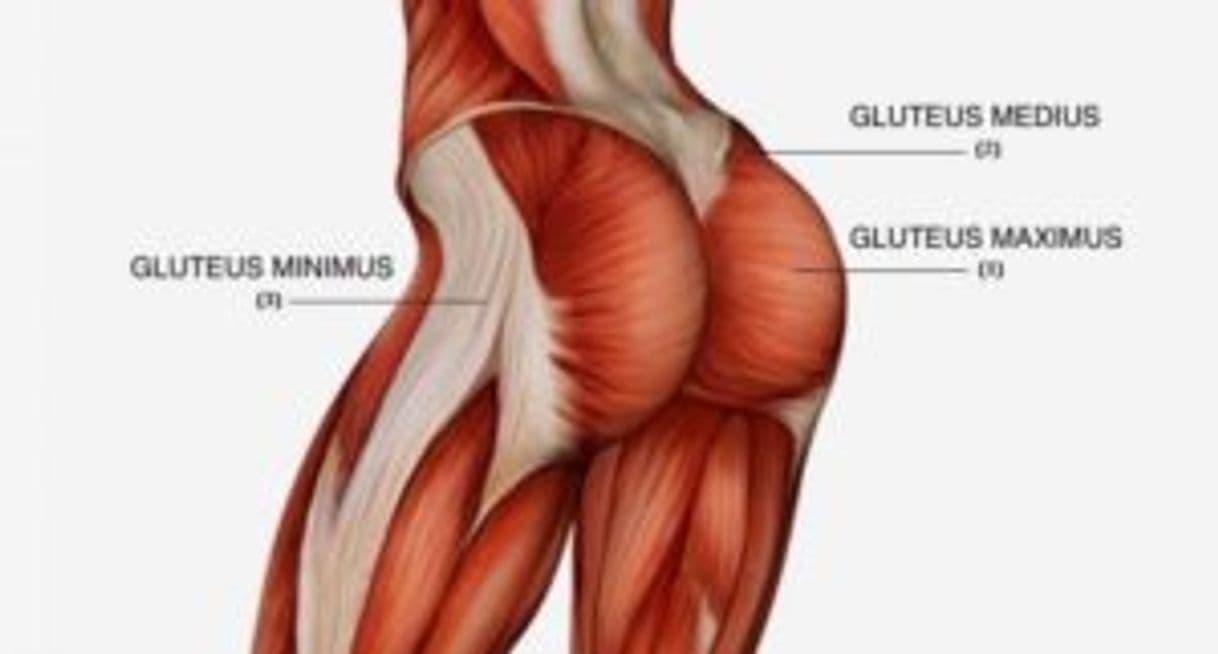 Moda Gluteo y femoral