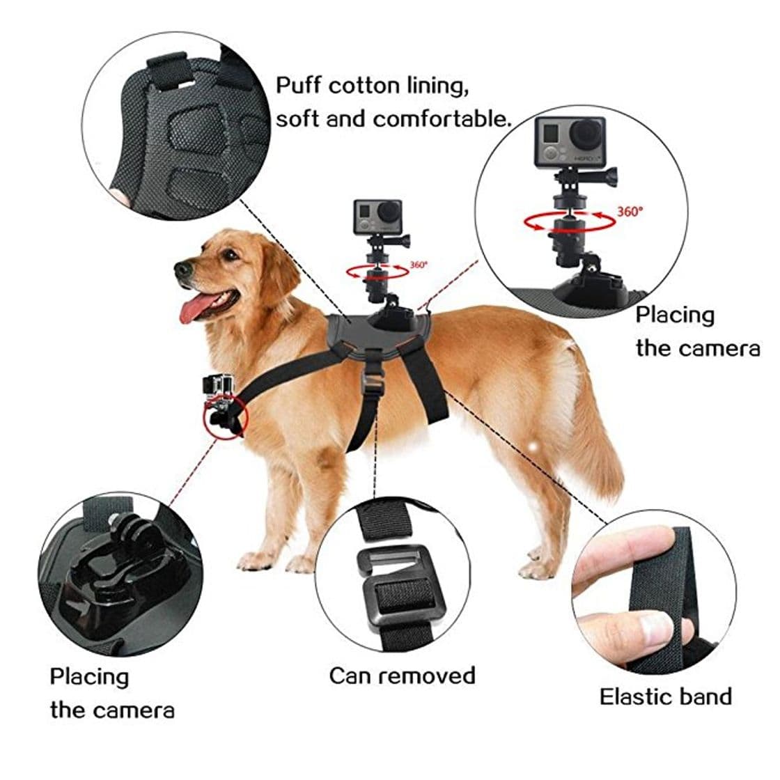 Fashion GoPro Fetch Dog Harness Camera Mount