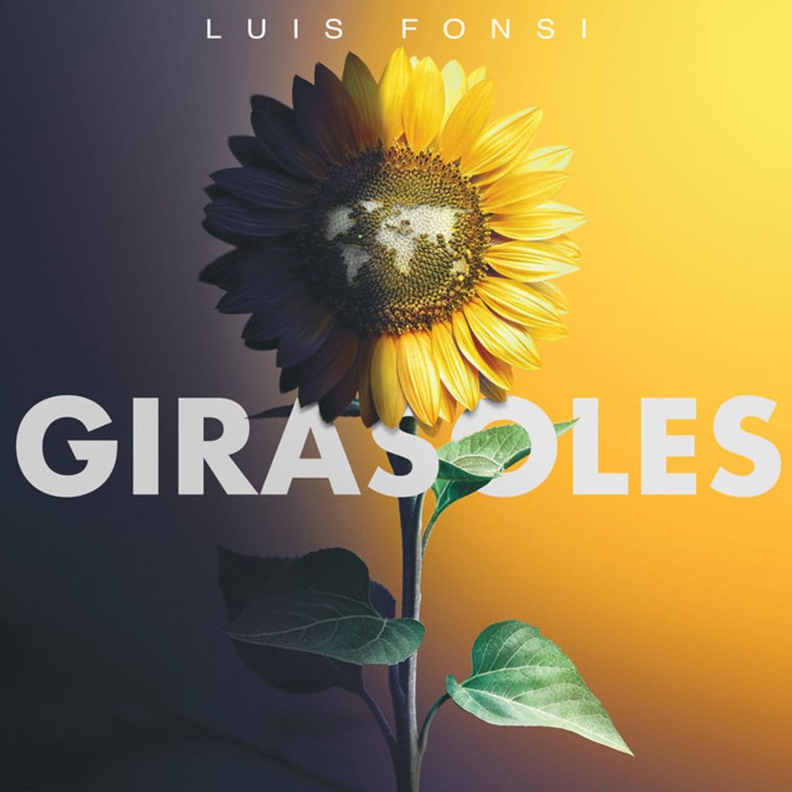 Canción Girasoles