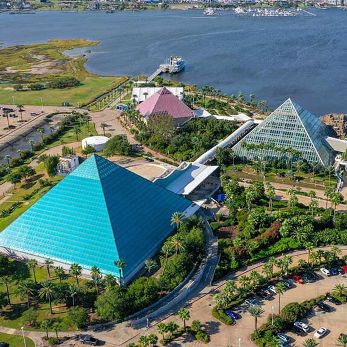 Place Moody Gardens