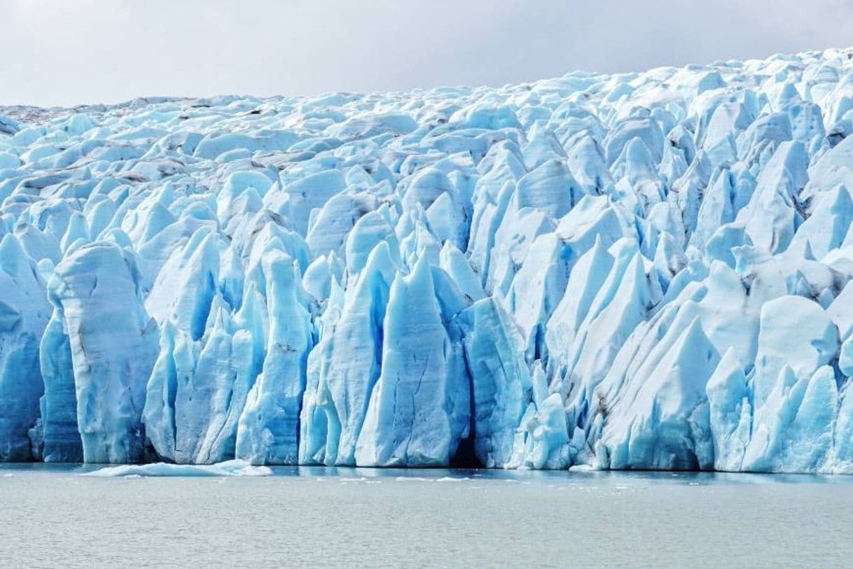 Lugar Glaciar Grey