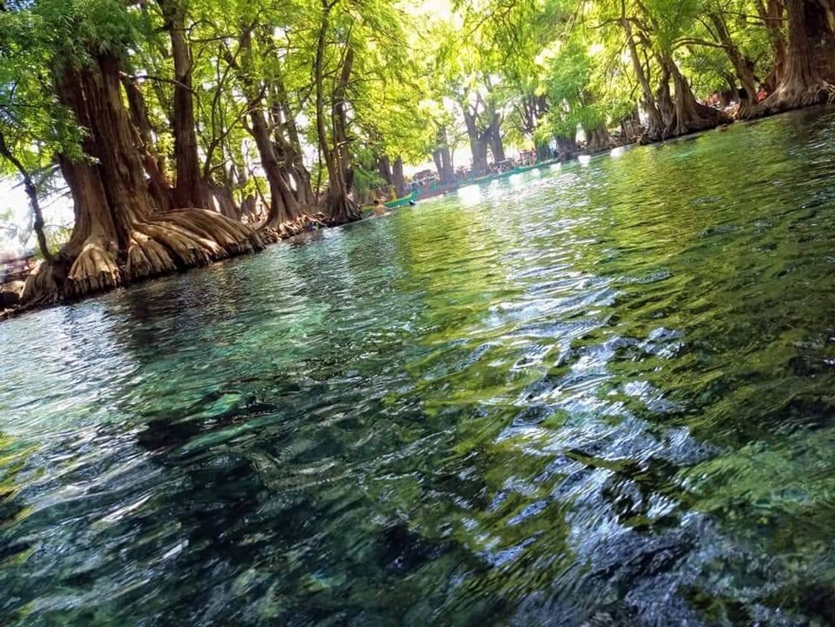 Lugar Lago de Camécuaro