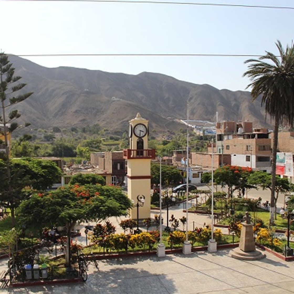 Place Santa Cruz de Flores