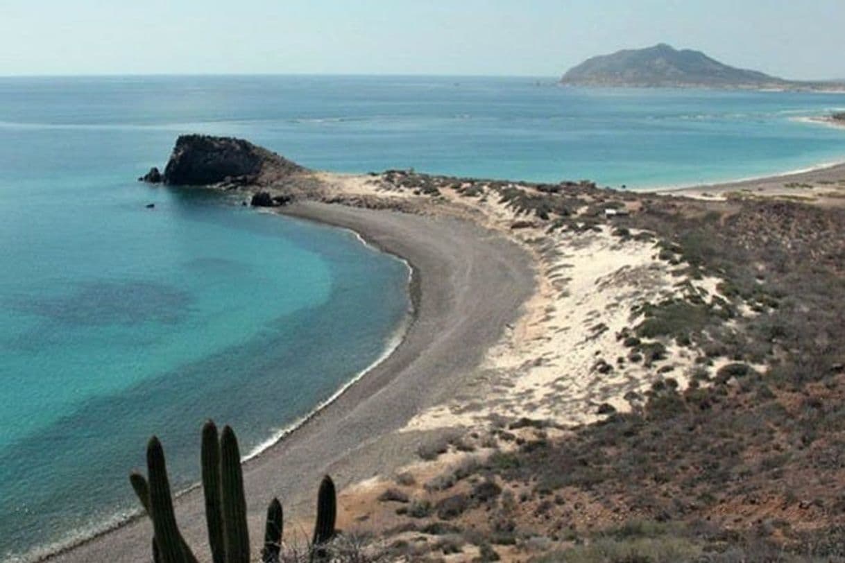 Lugar Cabo Pulmo