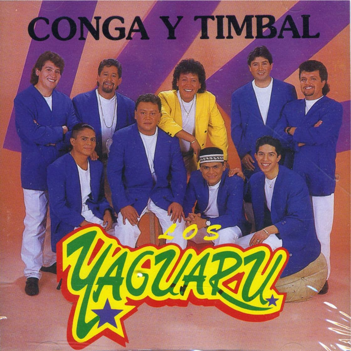 Canción Conga Y Timbal