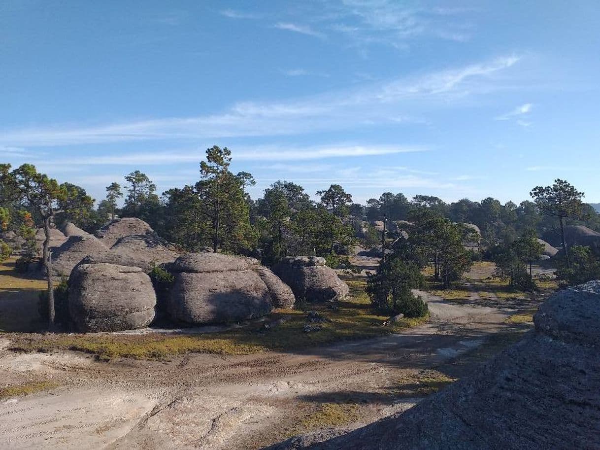 Place Jardin De Piedra Mexiquillo