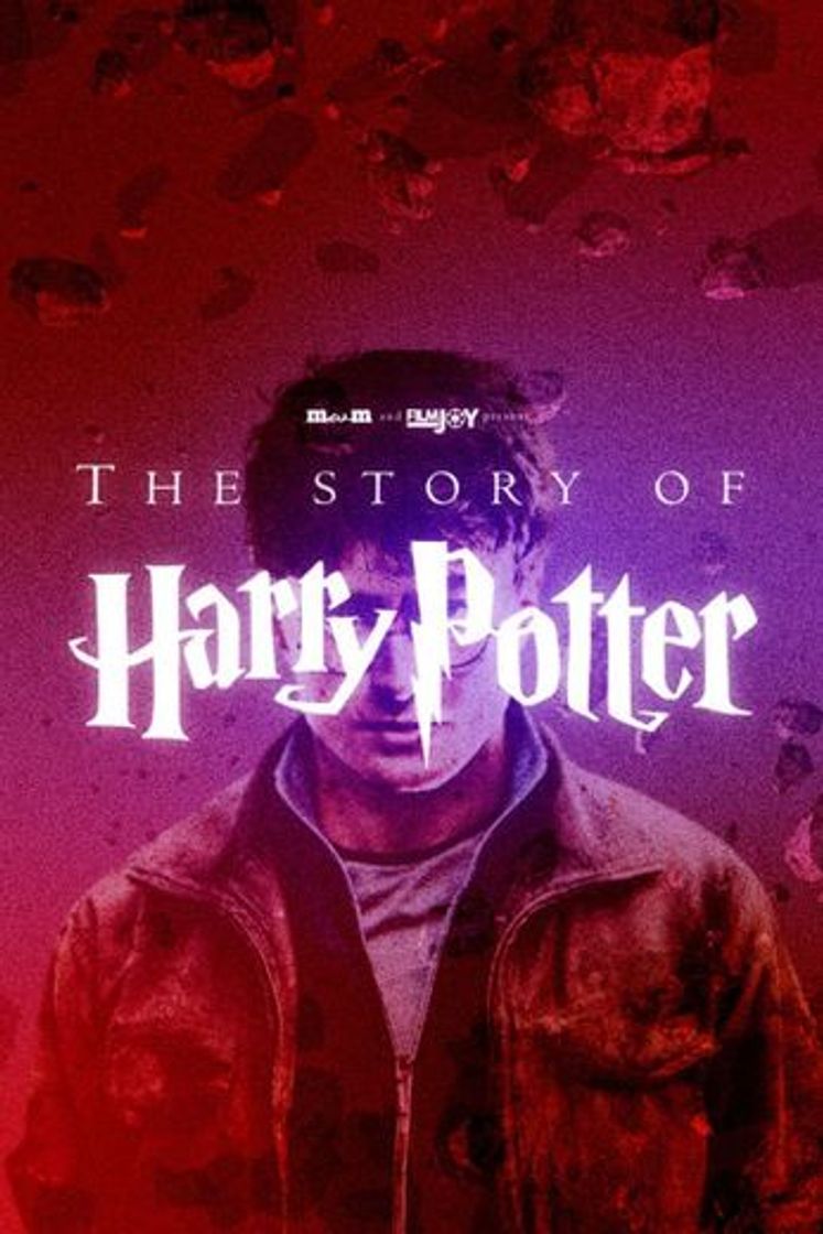 Serie The Story of Harry Potter