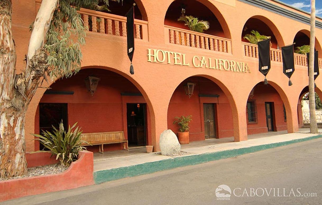 Restaurants Hotel California Todos Santos