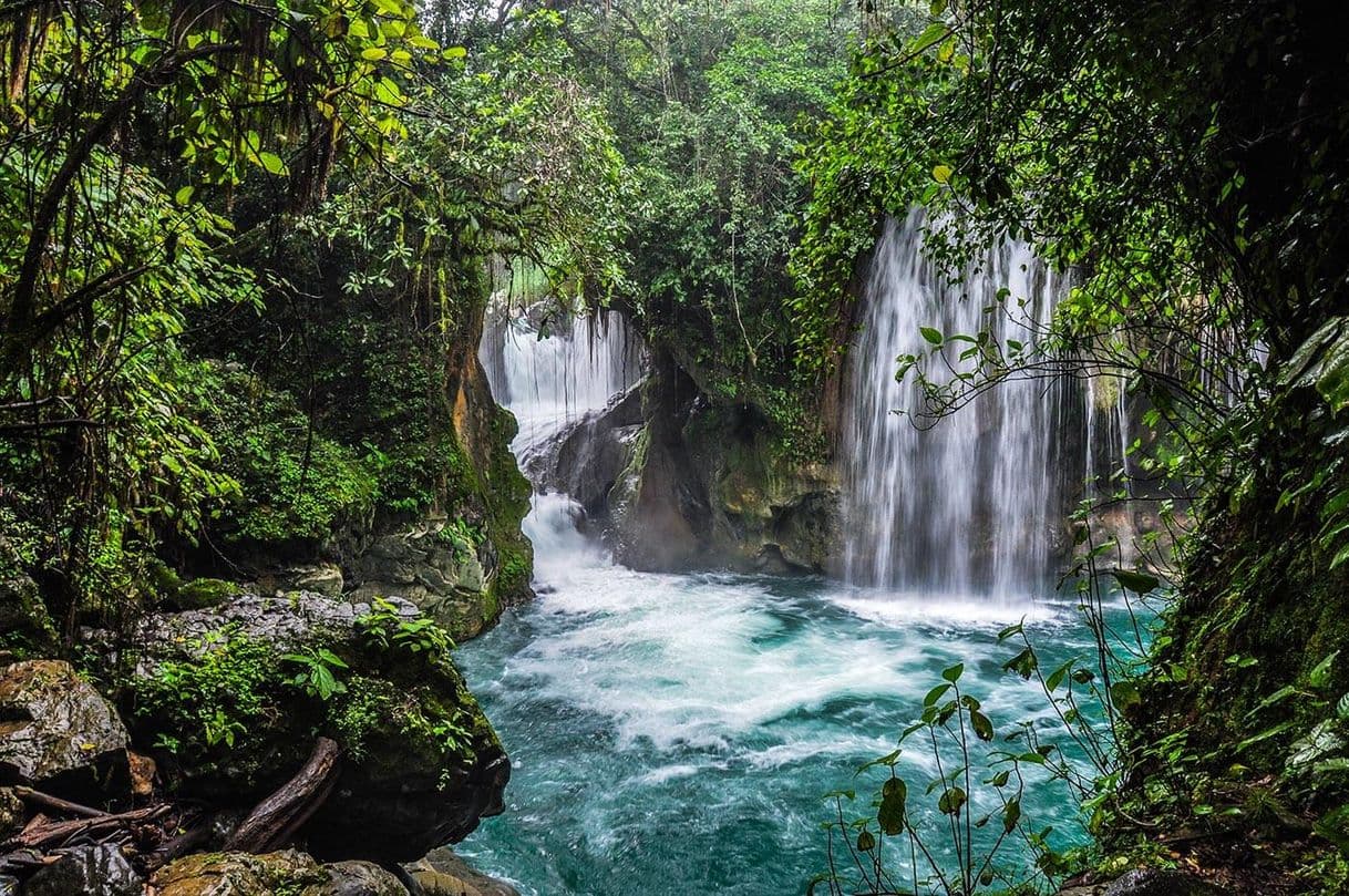 Lugar Huasteca Potosina Oficial