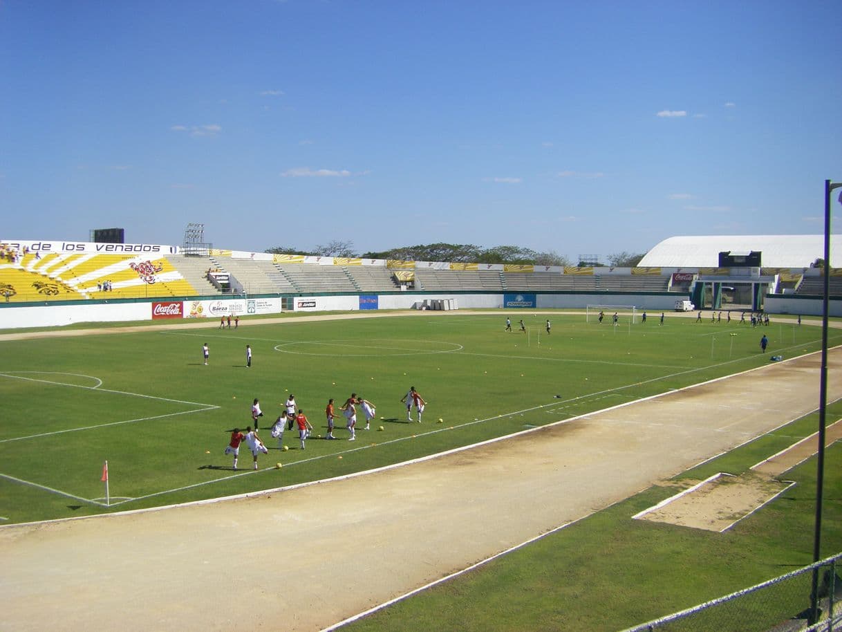 Place Estadio Carlos Iturralde Rivero