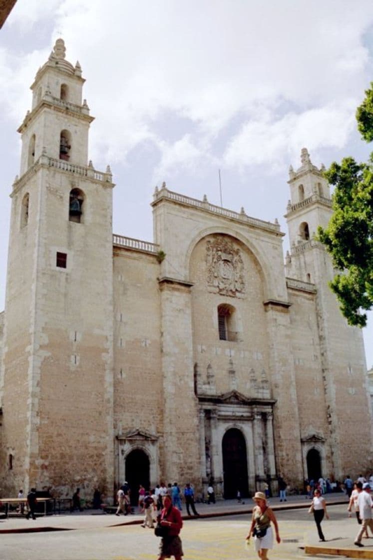 Place Catedral de San Ildefonso