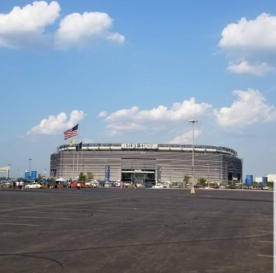 Place MetLife Stadium