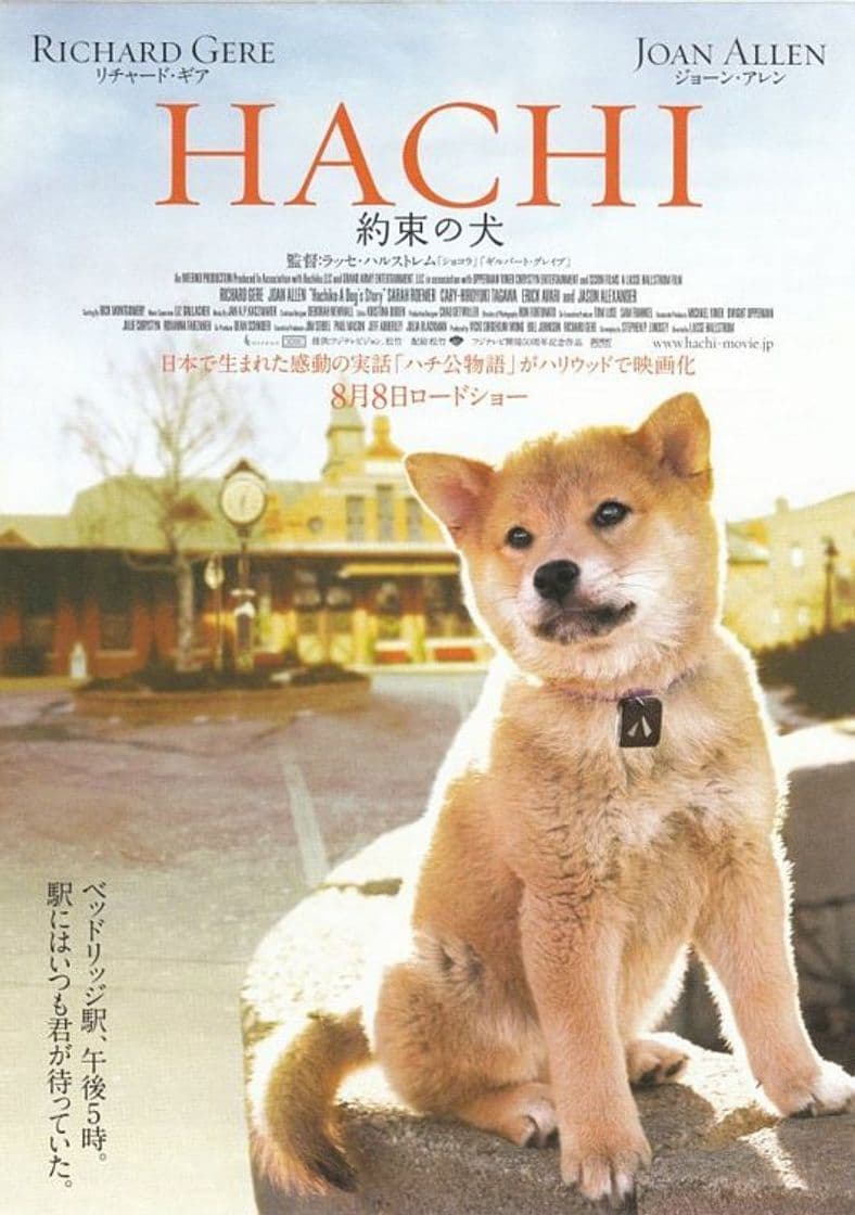 Película Hachi: A Dog's Tale