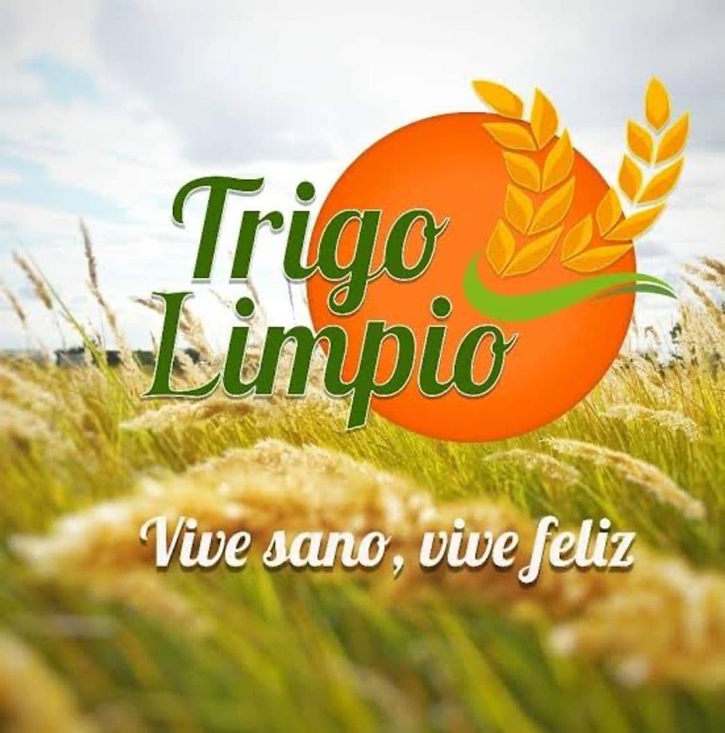 Restaurants Trigo limpio (sucursal Zaragoza)