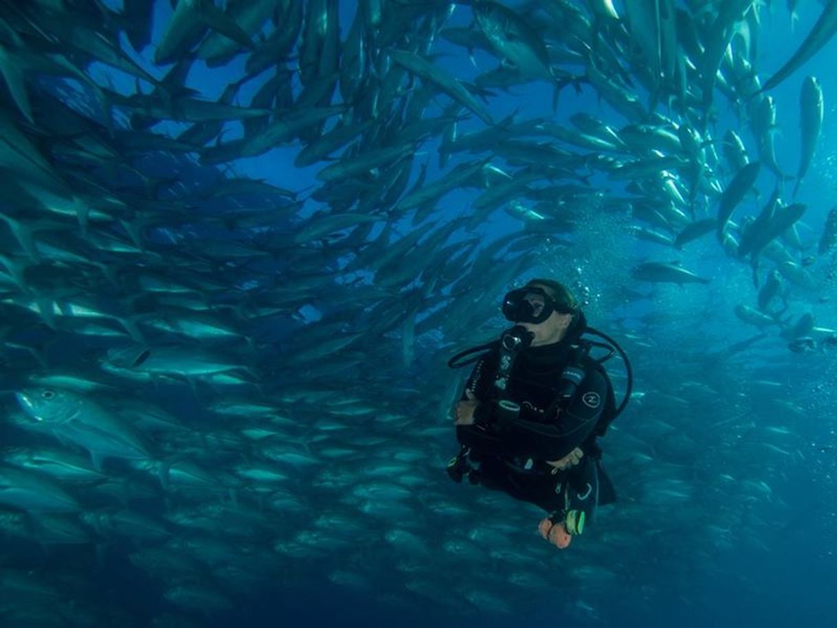 Lugar Cabo Pulmo Divers