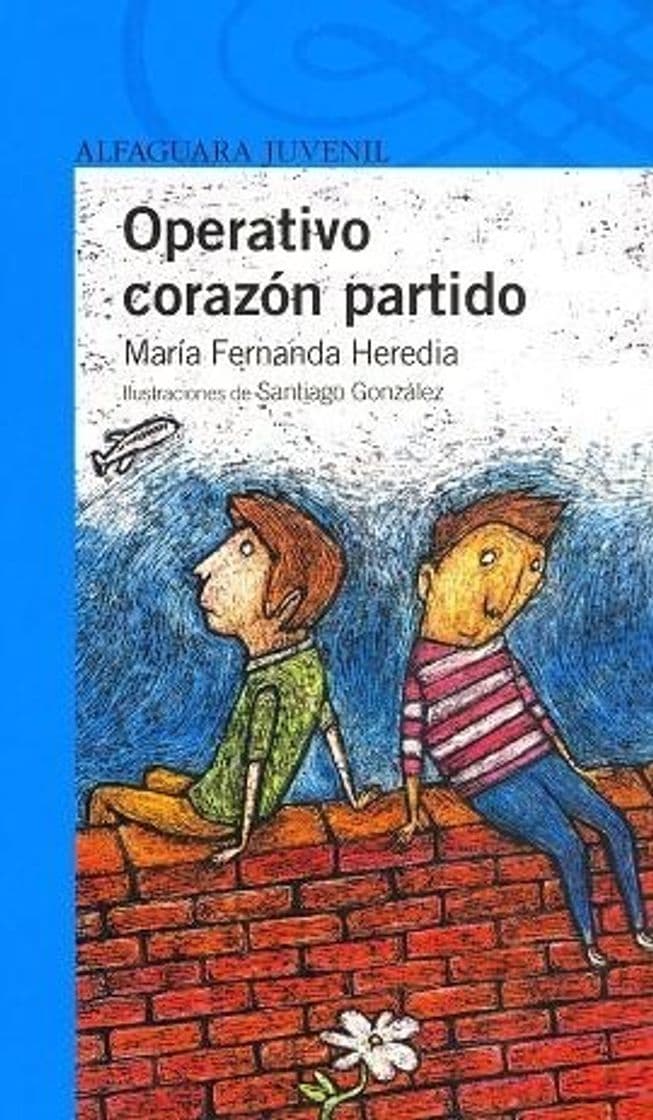 Libro Operativo corazón partido