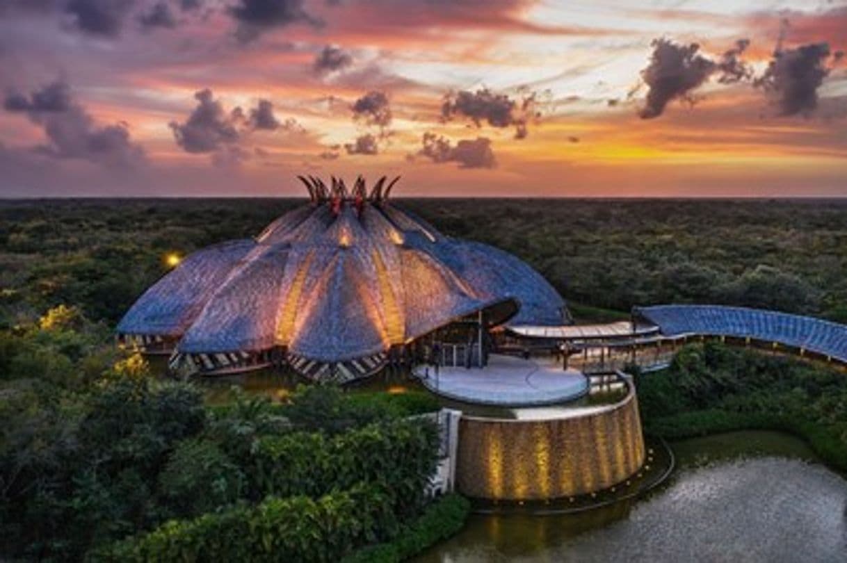 Place CIRQUE DU SOLEIL "JOYÀ" - Vidanta