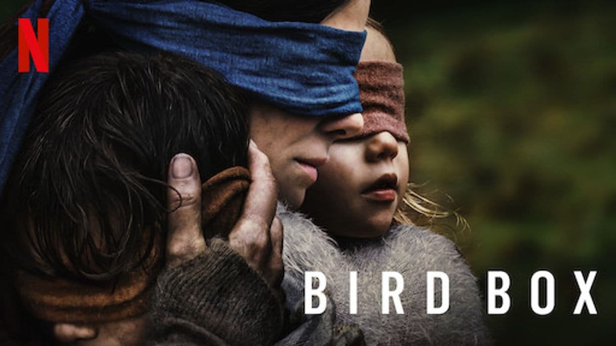 Serie Bird Box