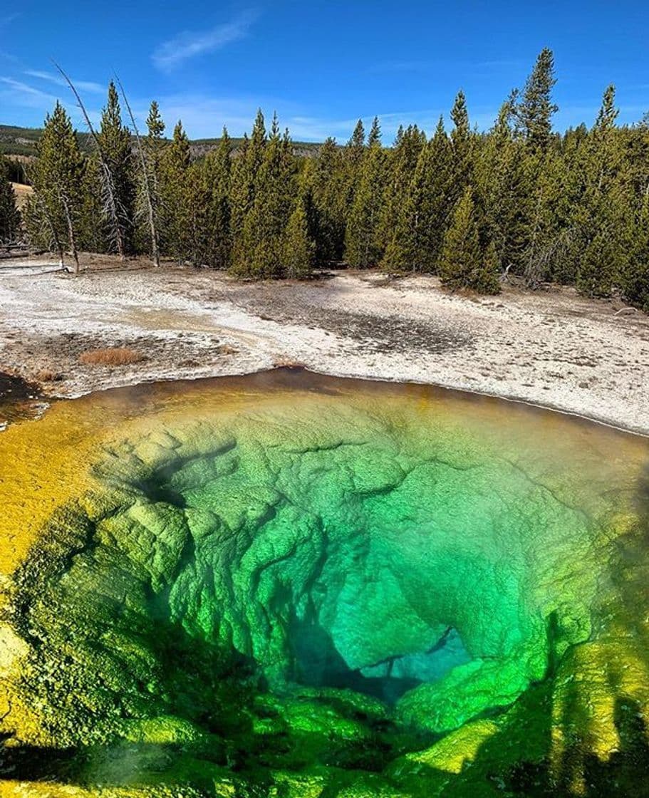 Lugar Yellowstone National Park