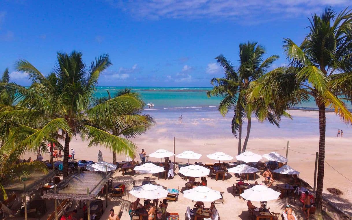 Place Hibiscus Beach Club | Maceió