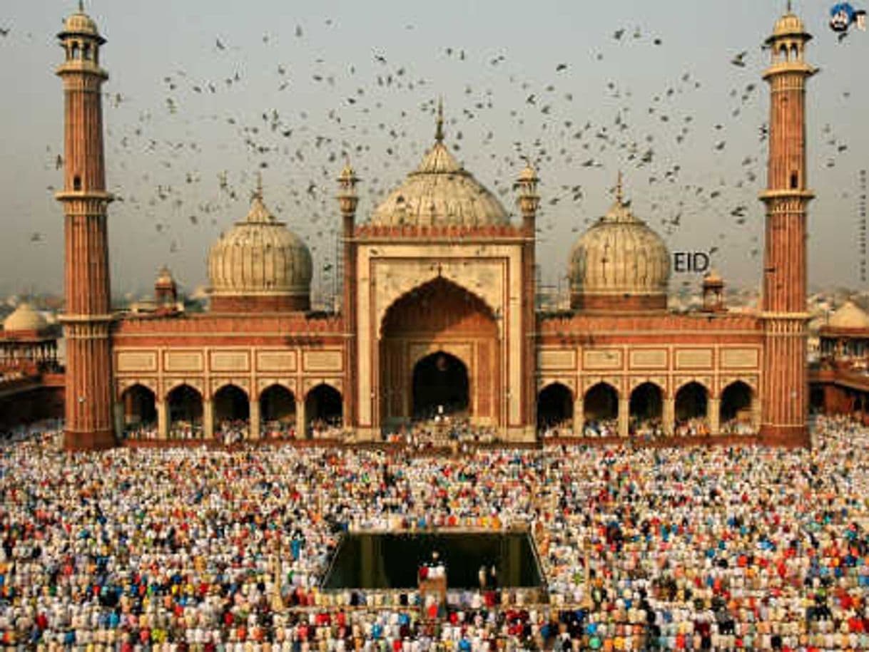 Place Jama Masjid, Chandni Chowk