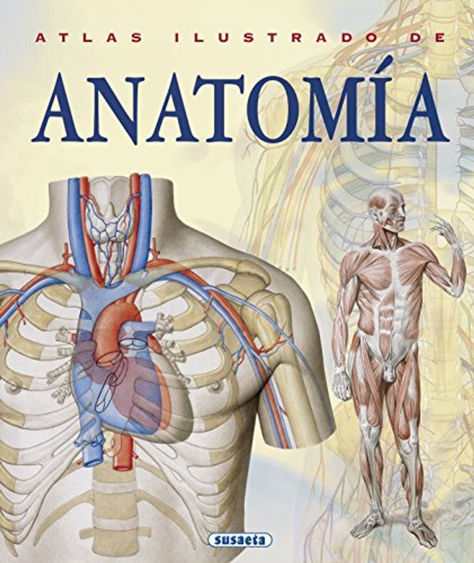 Libro Atlas Ilustrado De Anatomia