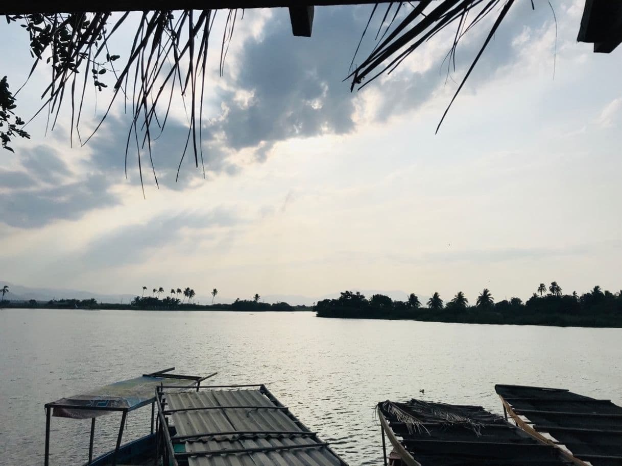 Restaurantes Barra De Coyuca