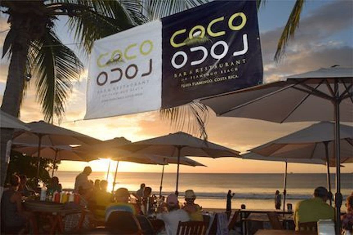 Restaurantes Restaurante Coco Loco