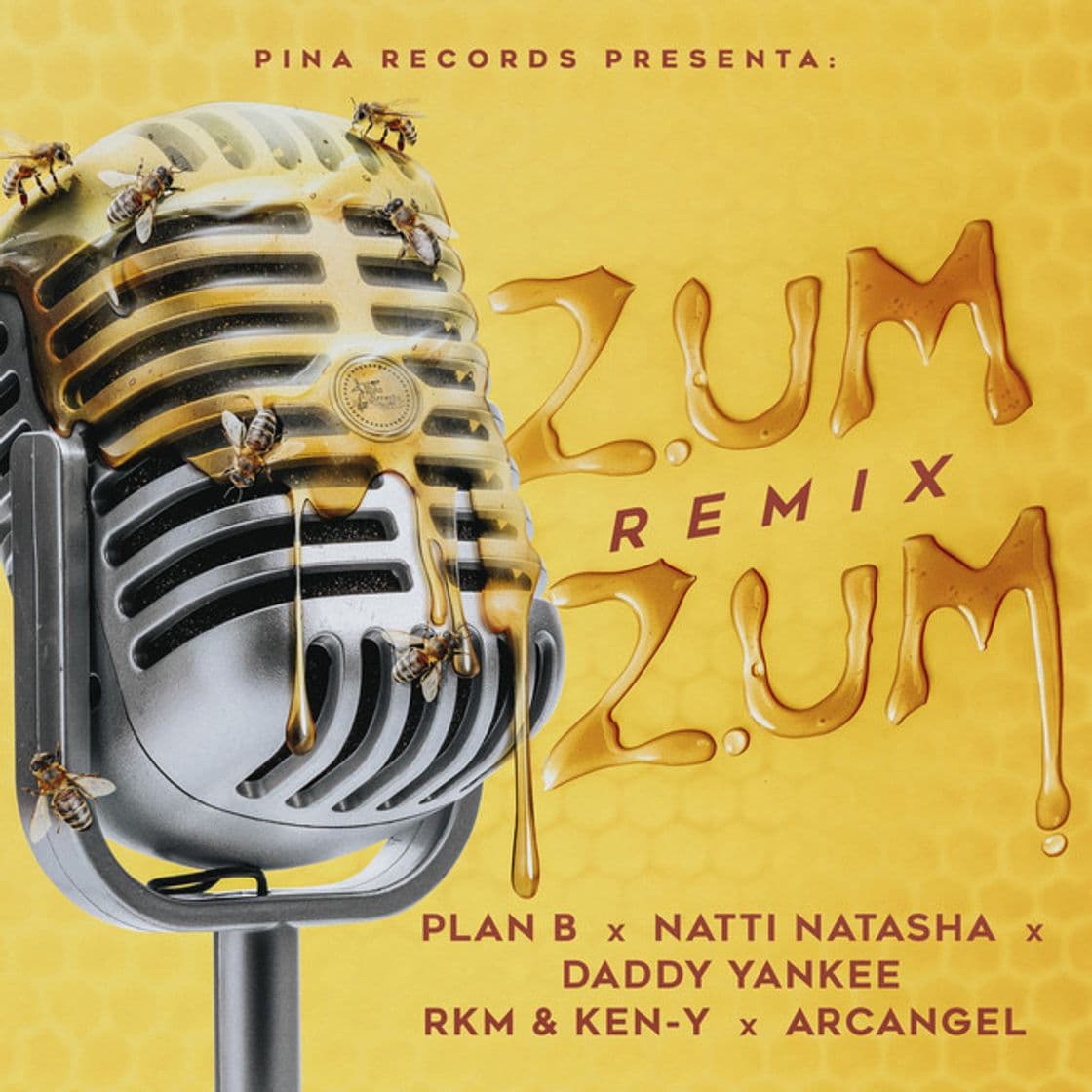 Music Zum Zum - Remix