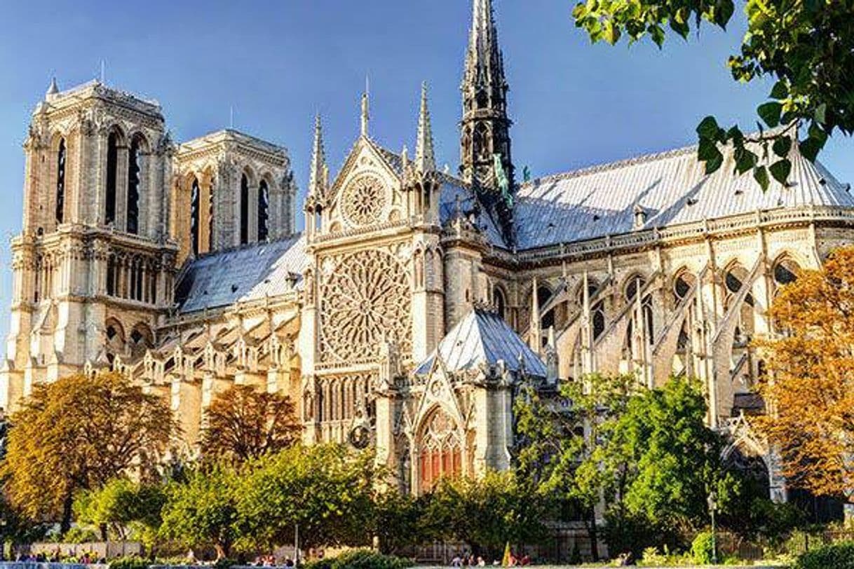 Place Catedral de Notre Dame