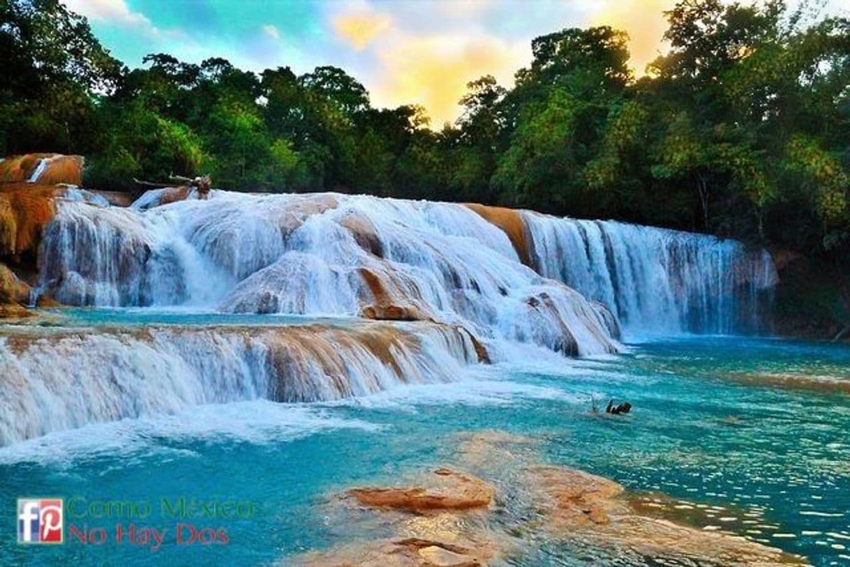 Place Cascada de Agua Azul