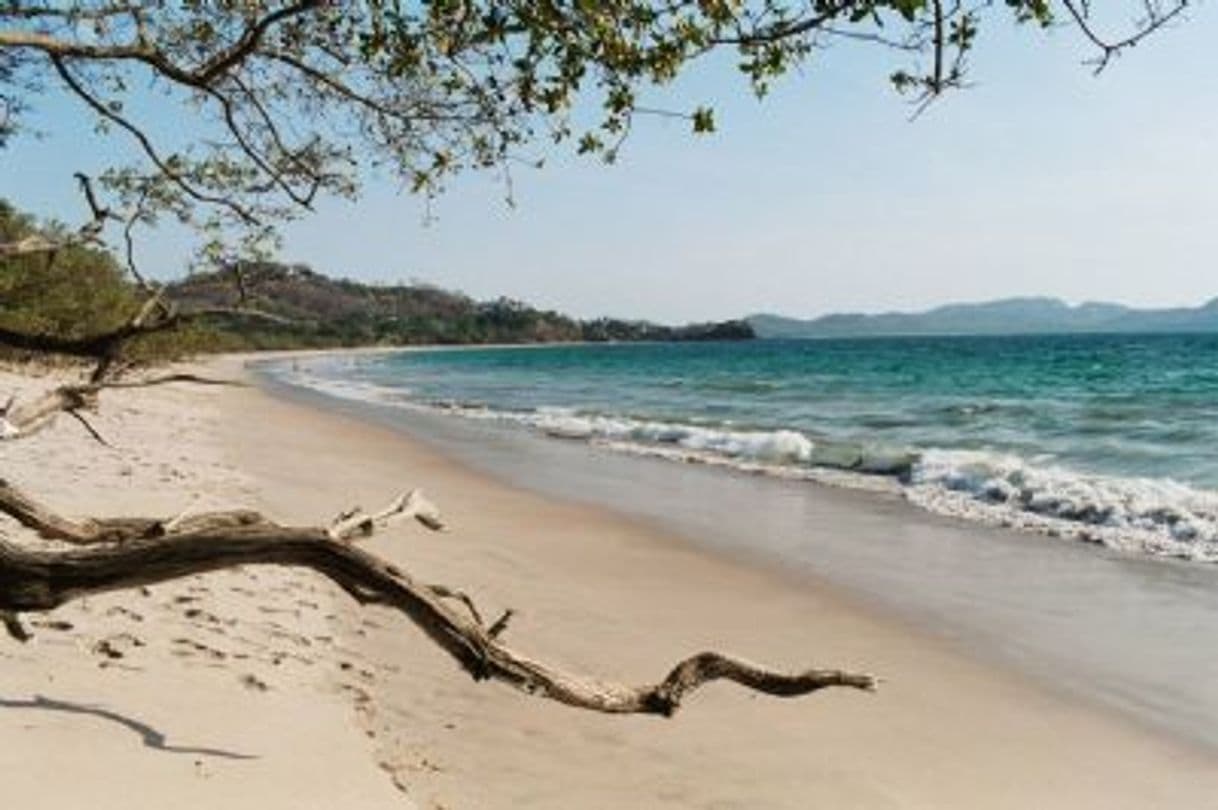 Lugar Flamingo, Costa Rica