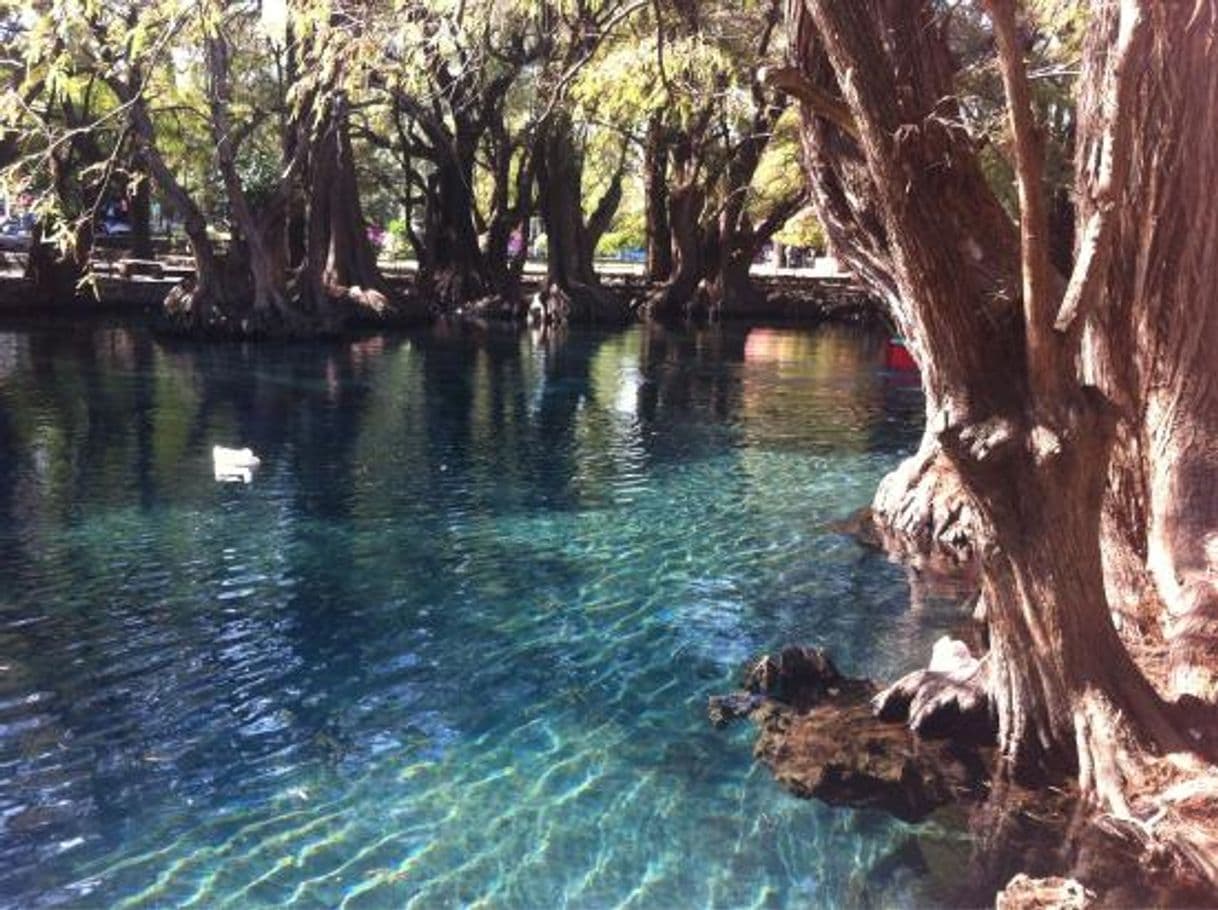 Place Camecuaro lake