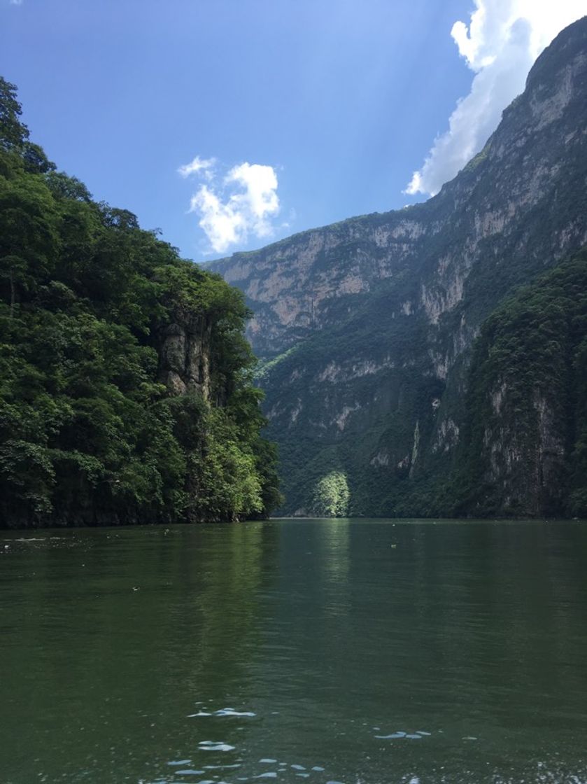 Place Cañon Del Sumidero