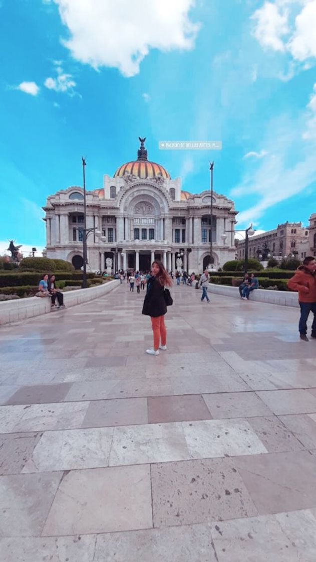 Place Palacio de Bellas Artes